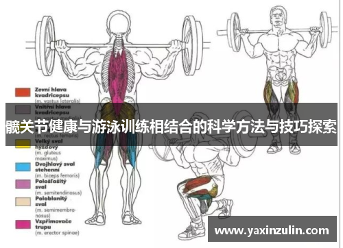 髋关节健康与游泳训练相结合的科学方法与技巧探索